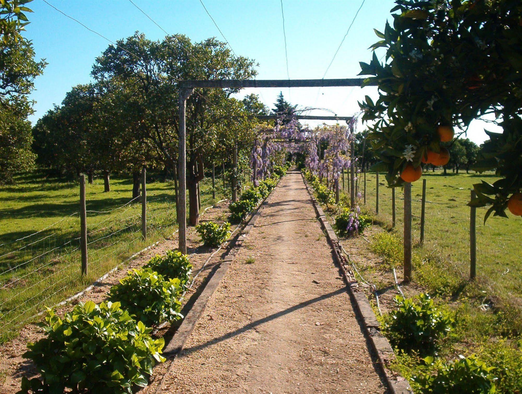 アルメイリン Quinta Do Casalinhoゲストハウス エクステリア 写真